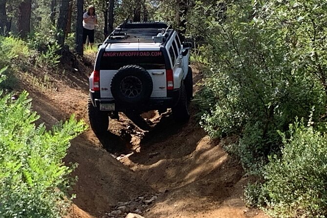 Private Off Road Adventure Tours in the Prescott National Forest - Common questions