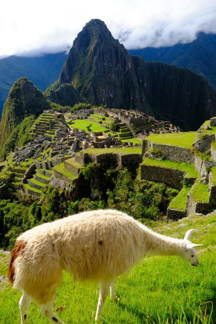 Private Tour 6D+Hotel 4☆||Machupicchu,RainbowMountain,Maras| - Notable Exclusions