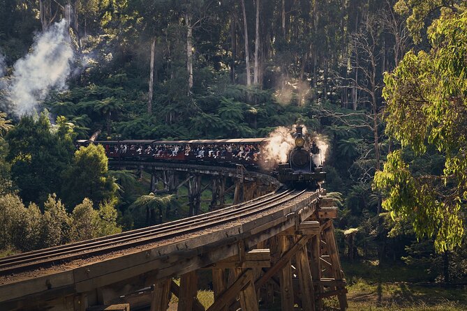 Puffing Billy, Moonlit Sanctuary and Chadstone Shopping Centre - Common questions