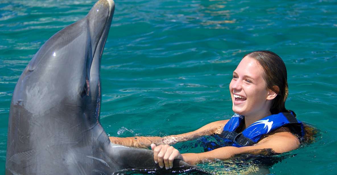 Punta Cana: Dolphin Explorer Swims and Interactions - Sum Up