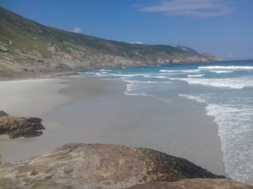 Rio De Janeiro: Arraial Do Cabo Scuba Diving Day Trip - Expert Guide Insights