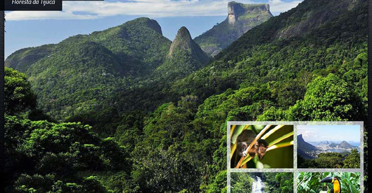 Rio De Janeiro: Tijuca National Park Ecotour - Directions