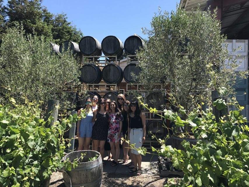 San Francisco: Small-Group Sonoma Wine Tour With Tastings - Sum Up