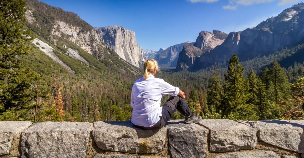 San Francisco To/From Yosemite National Park: 1-Way Transfer - Sum Up