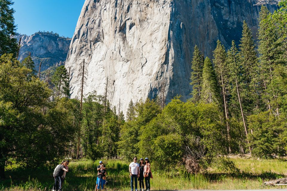 San Francisco: Yosemite National Park & Giant Sequoias Hike - Service
