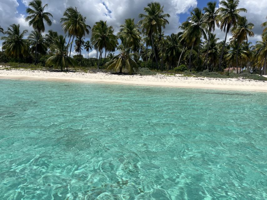 Saona Island: Small Group Virgin Beaches Cruise Day Trip - Common questions