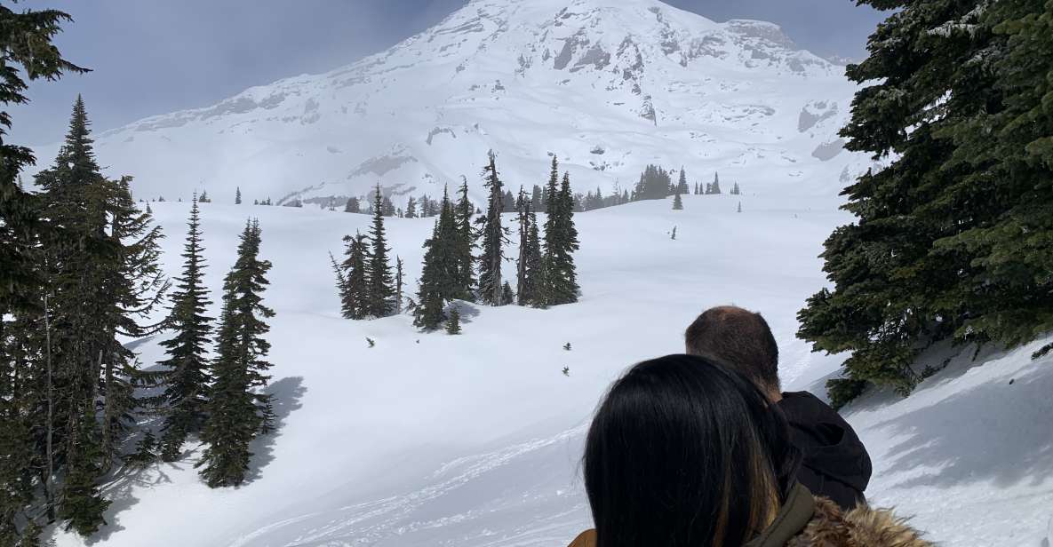 Seattle: Mt. Rainier Hiking W/ Waterfalls, Glaciers & Trees - Key Points