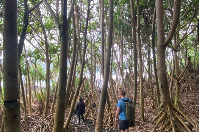 Short Private Hike To Secret Jungle Tide Pool - Great Guided Experience