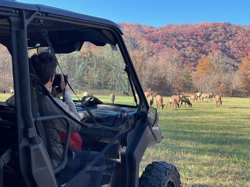 SMOKY MOUNTAIN CHEROKEE RESERVATION UTV Wilderness Adventure - Common questions