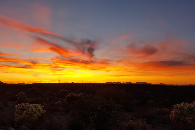 Sonoran Desert Hummer Night Tour With Local Guide  - Scottsdale - Common questions