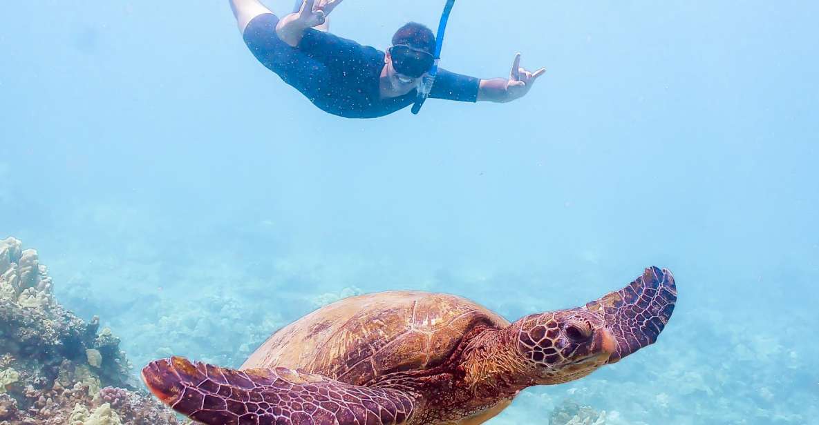 South Maui: Molokini Snorkeling Adventure - Full Description of the Adventure