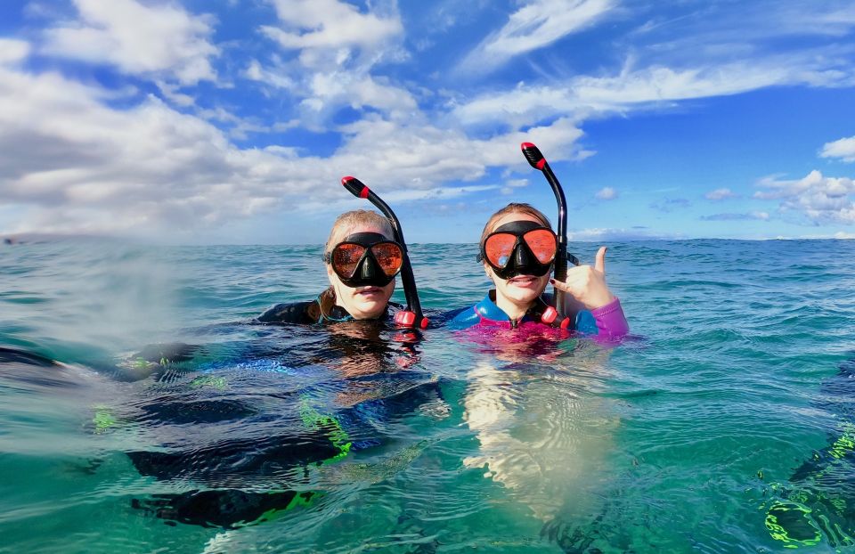 South Maui: Snorkeling Tour for Non-Swimmers in Wailea Beach - Important Information and Reviews