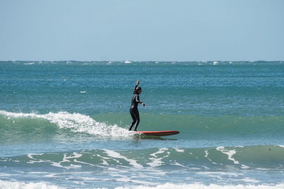 Surfing Lesson With Sea Wolf - Sum Up