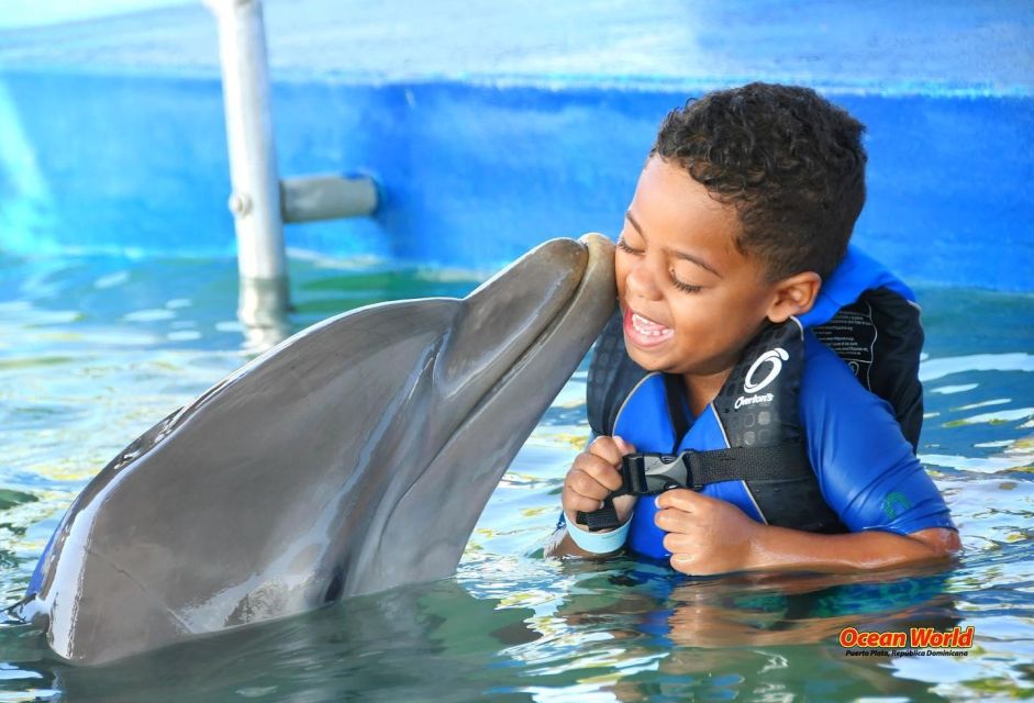 Swim With Dolphins at Ocean World Puerto Plata - Important Reminders
