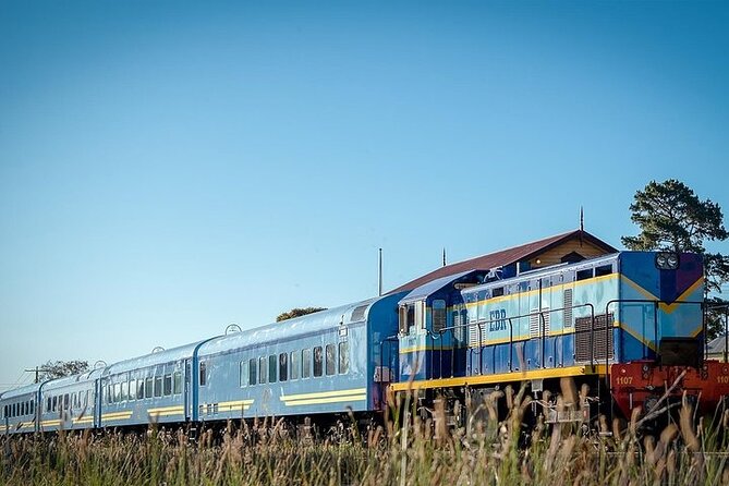 The Q Train - First Class For 10 - Lunch (Departing Drysdale) - Wine Matching Selections