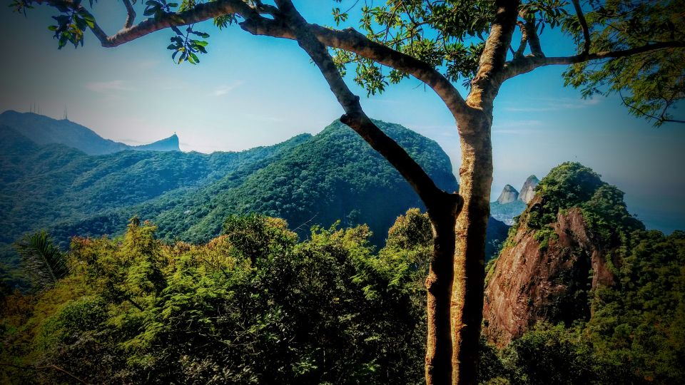 Tijuca National Park Small-Group Hike to Pedra Bonita - Common questions