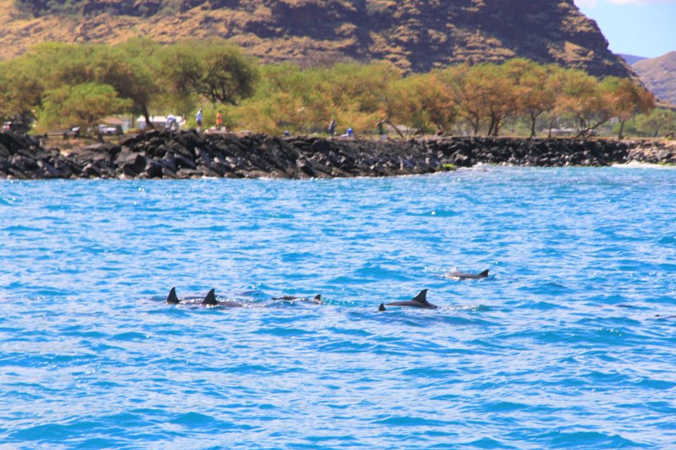 Waianae, Oahu: Swim With Dolphins (Semi-Private Boat Tour) - Safety Measures