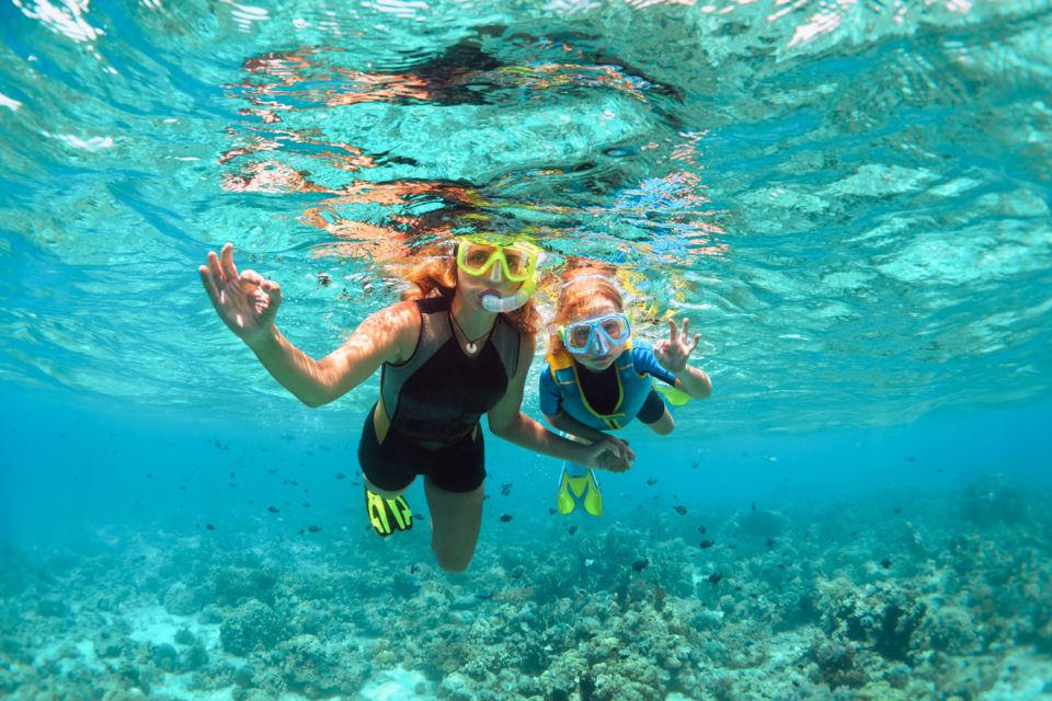West Oahu Hawaiian Green Sea Turtle, Dolphin, & Snorkel Tour - Tour Directions & Recommendations