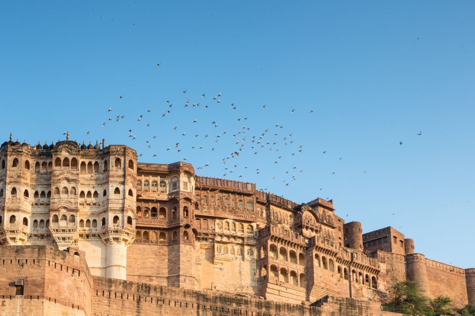 8 - Days Golden Triangle Tour With Jodhpur - Tour Overview