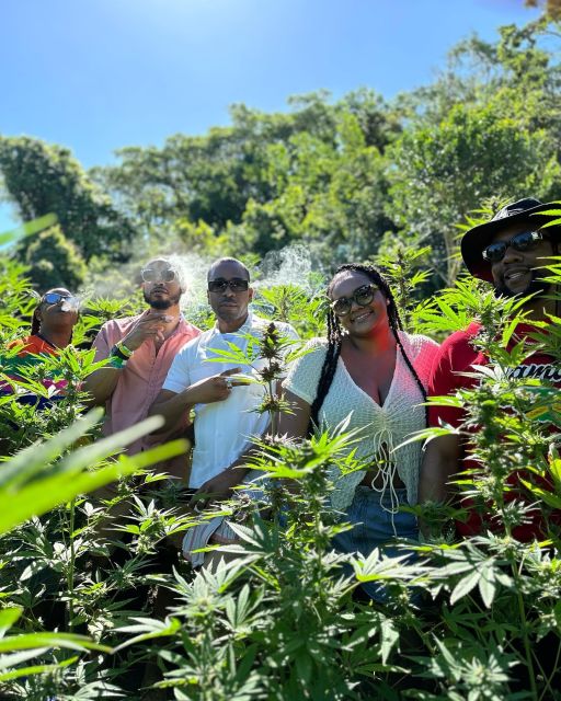 Ahhh Ras Natango Gallery and Garden With D Boss Farm Tour - Sum Up