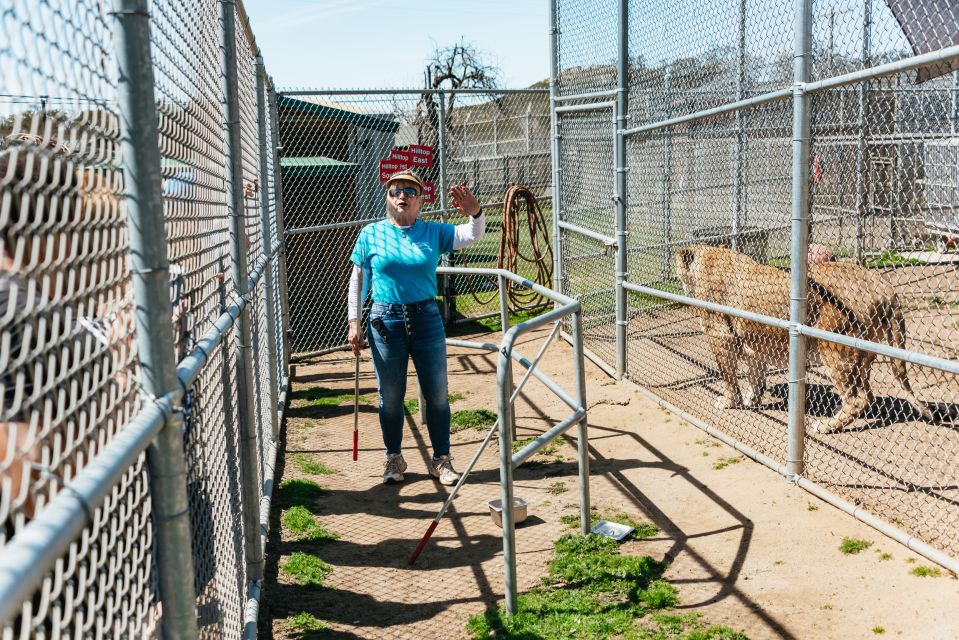 Alpine: Lions Tigers & Bears Sanctuary Visit and Feeding - Directions