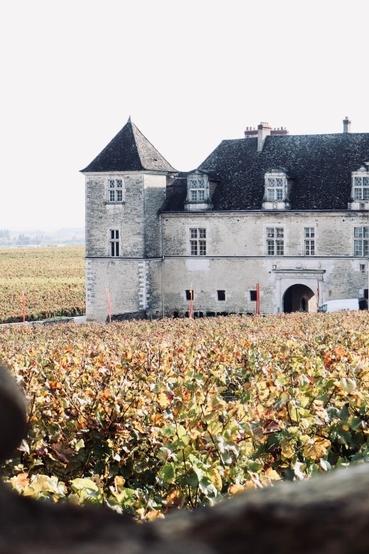 Côte De Beaune and Côte De Nuits : Private Full Day Winetour - Highlights of the Winetour