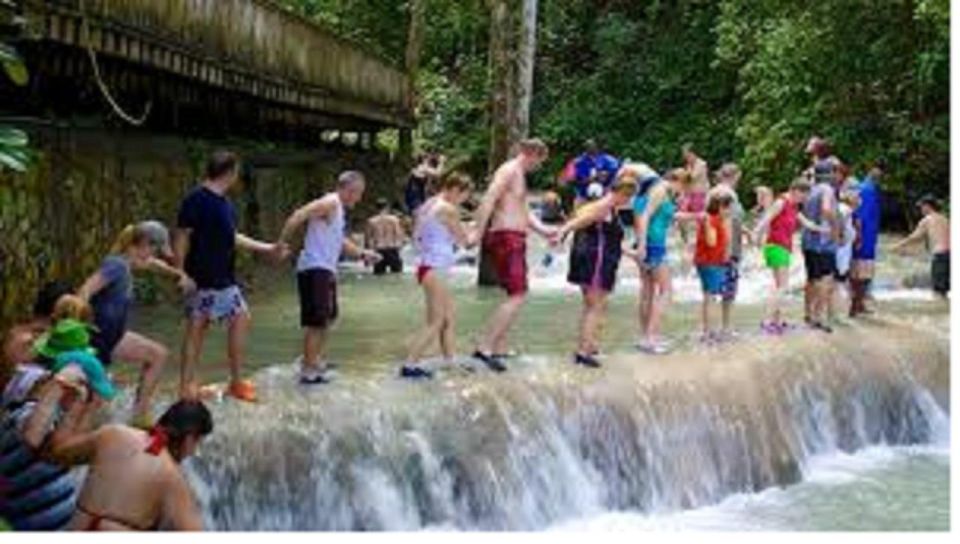 Dunns River Falls Day Tour - Reviews and Important Information