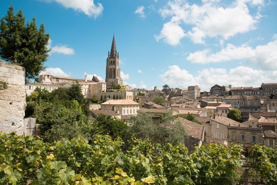 From Bordeaux: Private Wine Tour to Saint-Émilion - Common questions