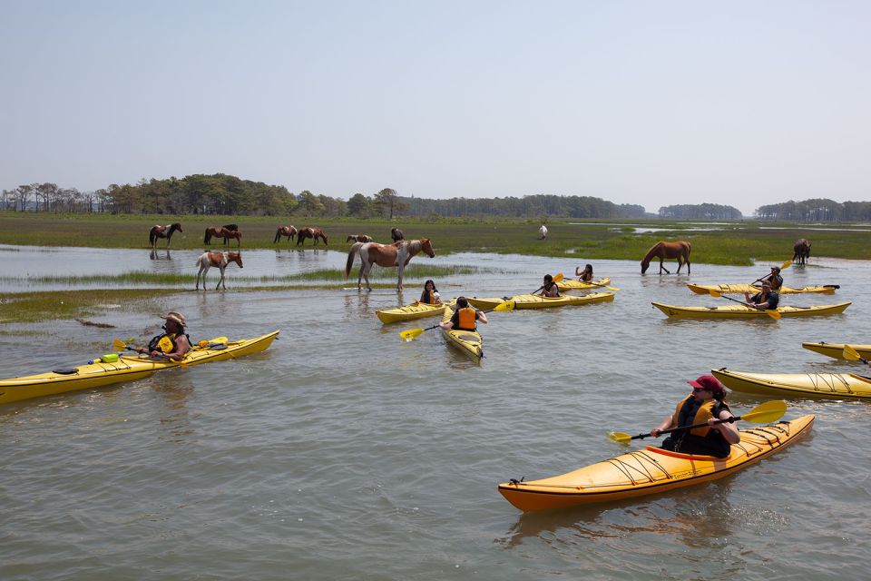 From Chincoteague: Guided Kayak Tour to Assateague Island - Tour Preparation