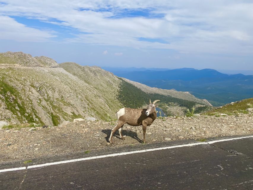 From Denver: Pikes Peak and Garden of the Gods Guided Tour - Common questions