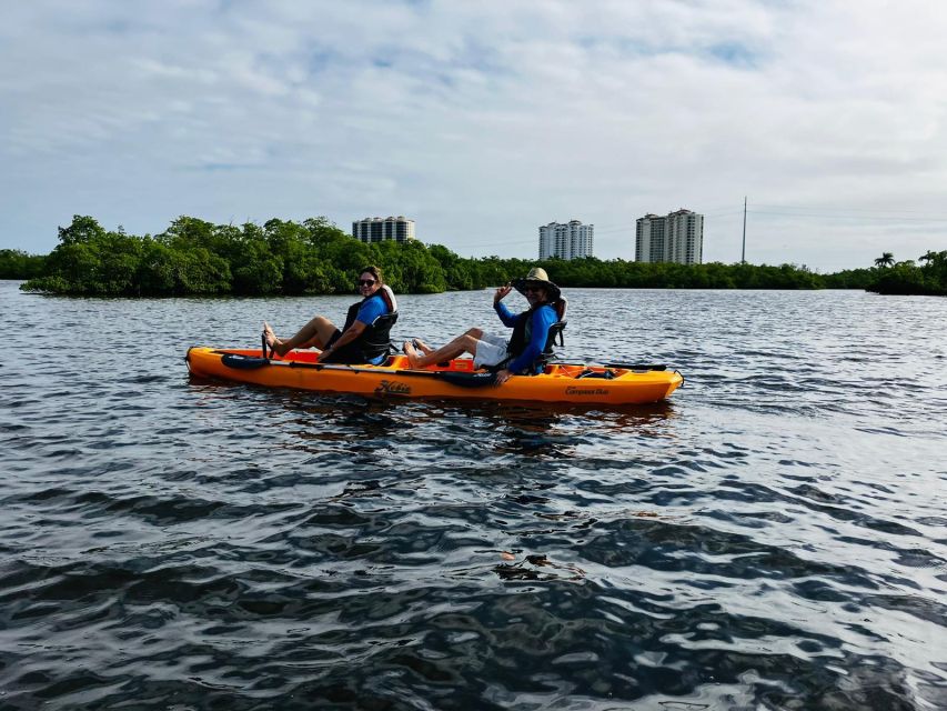 From Naples, FL: Marco Island Mangroves Kayak or Paddle Tour - Sum Up