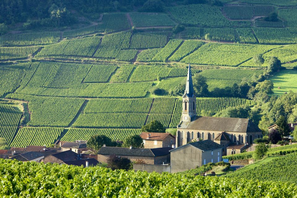 From Paris: Discover Authentic Burgundy Wine With Tastings - Common questions