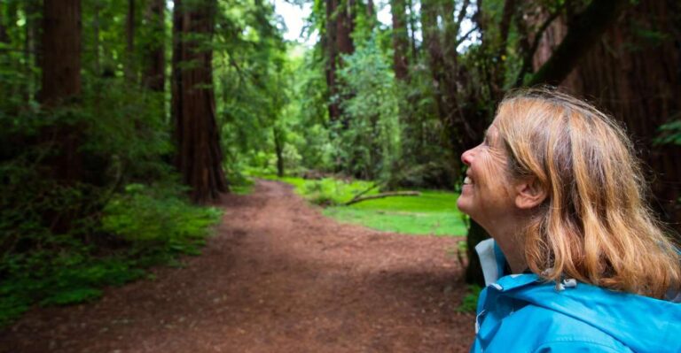 From San Francisco: Muir Woods Redwood Forest Tour