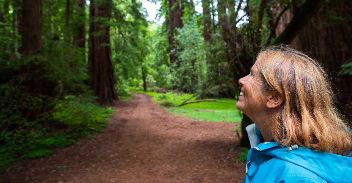 From San Francisco: Muir Woods Redwood Forest Tour - Tour Details