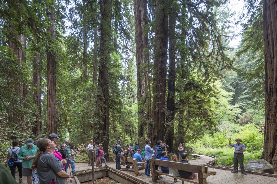From San Francisco: Muir Woods, Sausalito and Alcatraz Tour - Tour Itinerary