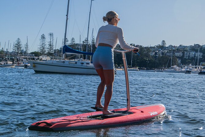 Guided Step-Up Paddle Board Tour of Narrabeen Lagoon - Equipment Provided