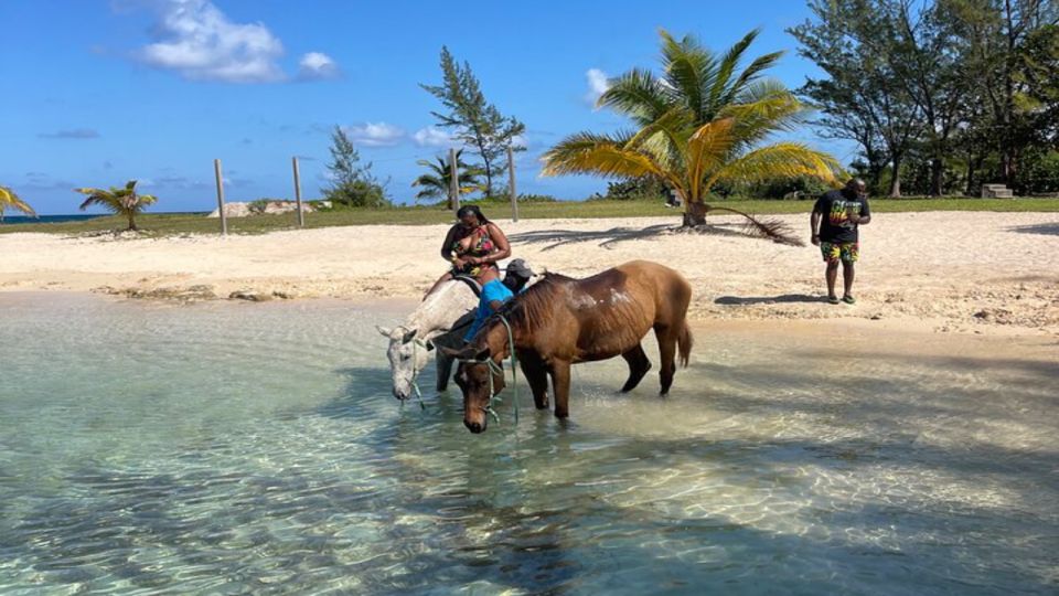 Horseback Ride N Swim in Montego Bay - Participant Guidelines