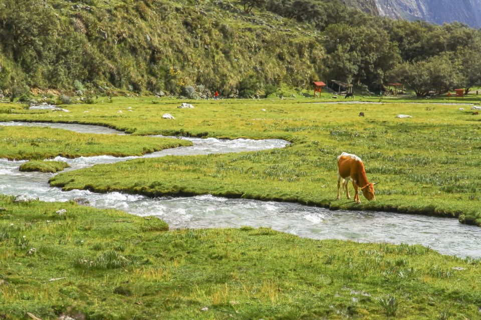 Huaraz: 3-Hour Trek to Laguna 69 With Optional Lunch - Precautions