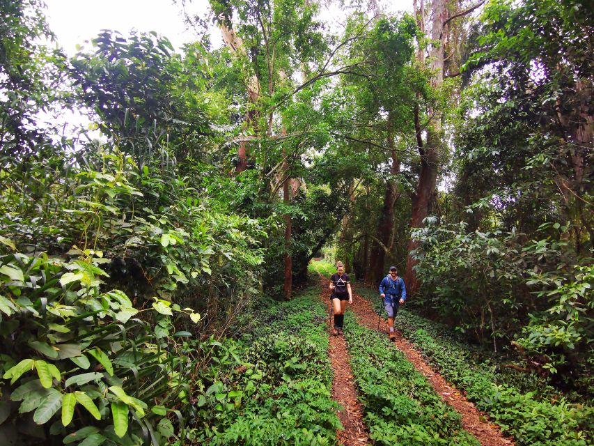 Ilha Grande: Lopes Mendes Private Hiking Tour - Visitor Testimonial