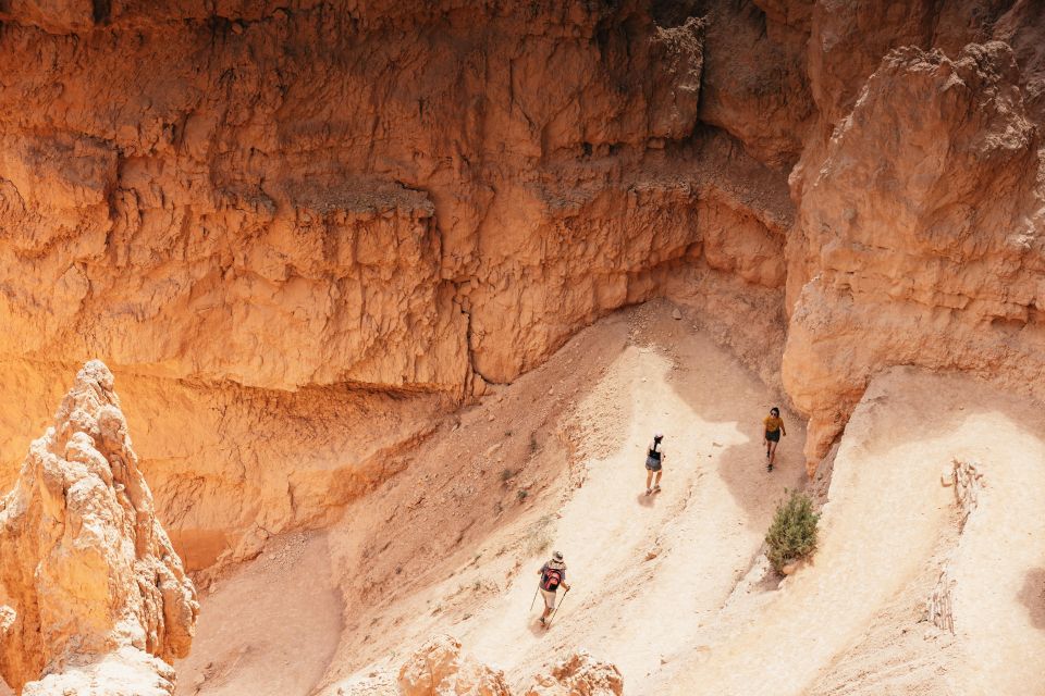 Las Vegas: Discover Bryce and Zion National Parks With Lunch - Reviews