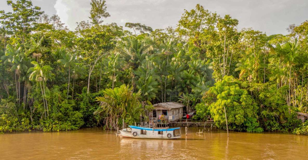 Manaus: 2, 3 or 4-Day Amazon Jungle Tour in Anaconda Lodge - Customer Reviews