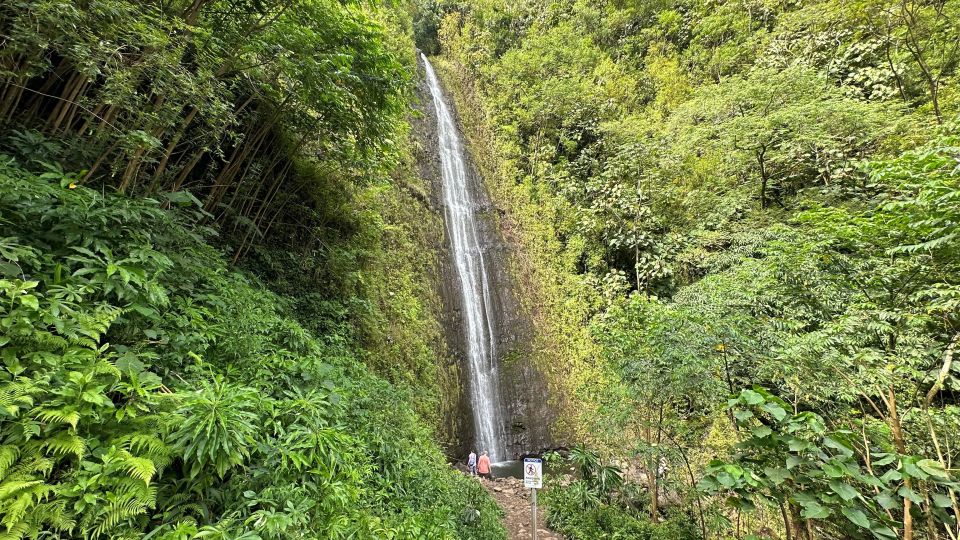 Manoa Falls Ebike to Hike - Key Points