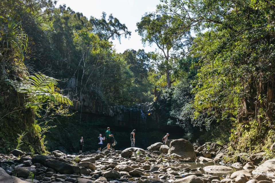 Maui: Hike to the Rainforest Waterfalls With a Picnic Lunch - Sum Up