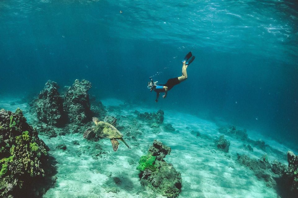 Maui: Semi-Private 2.5 Hour Eco-Raft Turtle Snorkel Tour - Common questions