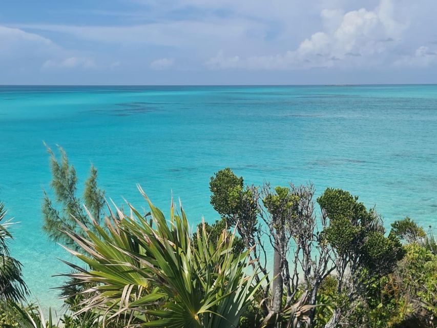 Nassau: 3 Islands Tour, Snorkel, Pig Beach, Turtles & Lunch - What to Bring