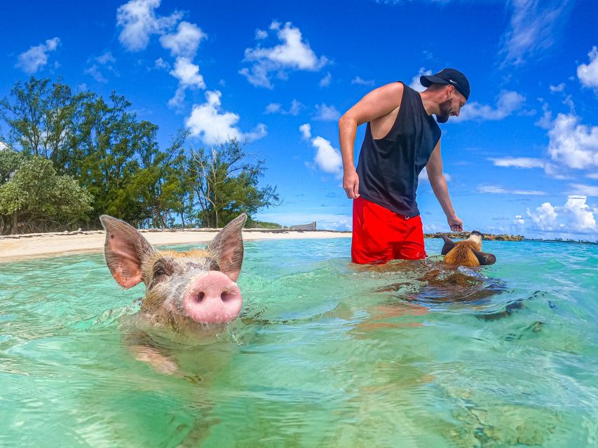 Nassau: Sun Cay and Swimming Pigs Boat Trip With Lunch - Common questions