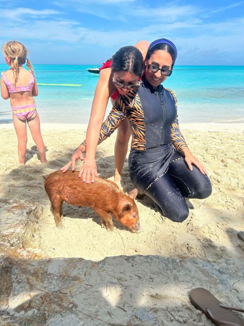 Nassau: Swimming Pigs, Turtle Viewing, Snorkeling, and Lunch - Common questions