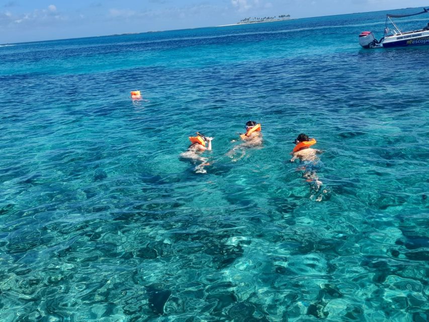 Nassau: Swimming With Pigs, Snorkeling, and Sightseeing Tour - Common questions