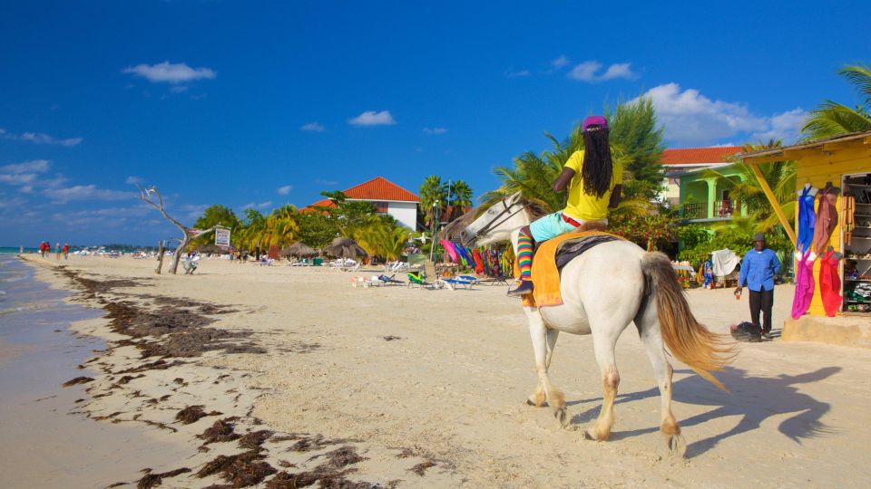 Negril: Private Customizable Beach and City Highlights Tour - Common questions
