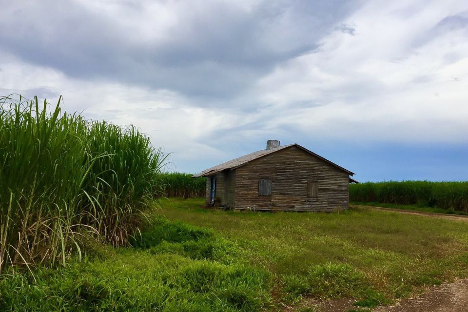 New Orleans: Destrehan Plantation & Airboat Combo Tour - Common questions